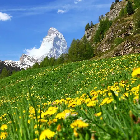 Lauberhaus By Interhome Apartment Zermatt